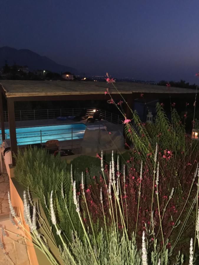 Villa Verde Ano Kalo Nero Zewnętrze zdjęcie